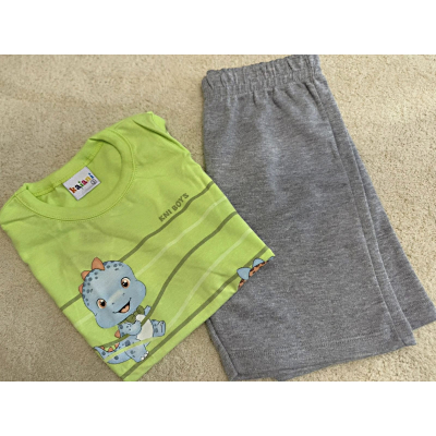 Conjunto Dinossauro Baby Verde