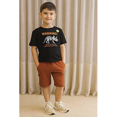 Conjunto Jurassic